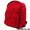 COMME des GARCONS HOMME PLUS RED CELEBRATION BACK PACK画像