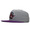 Mitchell & Ness TORONTO RAPTORS 2T HEATHER MICRO SNAPBACK LVMNTRR035画像