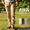 AVIREX FATIGUE PANTS(SLIM FIT) 6166122画像