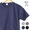 GICIPI 1604 COLLO a C画像