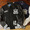 adidas Originals BADGE BOMBER JACKET AY9148画像