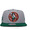 Mitchell & Ness BOSTON CELTICS NBA CHAMPIONS 76 SNAPBACK GREYxGREEN LVMNBTC127画像