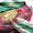 TAILOR TOYO ACETATE SUKA AGING MODEL "DRAGON & ROALING TIGER" TT13757-145画像