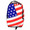 SPRAYGROUND BACK PACK -THE USA-画像