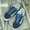 AlexanderLeeChang × VANS BOA SKOOL BLUE画像