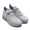 NIKE AIR MAX FLAIR 50 WOLF GREY/WOLF GREY-COOL GREY AA3824-002画像