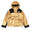 Supreme × THE NORTH FACE Metallic Mountain Parka GOLD画像