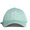 adidas TREFOIL CAP CLEAR MINT/WHITE DJ0883画像