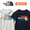 THE NORTH FACE S/S COLORFUL LOG TEE NTJ31991画像