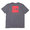 THE NORTH FACE RED BOX TEE GREY RED画像