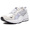 MIZUNO WAVE RIDER 1 "URBAN CAMO PACK" NAT/WHT/SLV D1GA193001画像