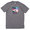 THE NORTH FACE HAWAII BOX TEE GREY画像