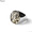 Peanuts&Co PHARAOHS HORSES RING - OVAL LARGE - (SILVER&times;K10)画像