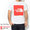 THE NORTH FACE Colored Big Logo S/S Tee NT32043画像