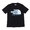 THE NORTH FACE PURPLE LABEL H/S Logo Pocket Tee BLACK NT3915N画像