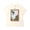 adidas TEE GRAPHIC CHORK WHITE FM4340画像