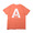 afield out ALPINE T-SHIRT Terracotta画像
