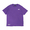 THE NORTH FACE S/S TEST PROVEN TEE PEAK PURPLE NT82030-PP画像