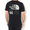 THE NORTH FACE 66 California S/S Tee NT32085画像
