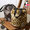 CHUMS Leopard Mini Bag CH60-3045画像