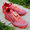 NIKE AIR VAPORMAX 2020 FK TEAM RED/GYM RED-FLASH CRIMSON CT1823-600画像