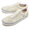 VANS SKATE OLD SKOOL OFF WHITE VN0A5FCBOFW画像