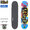 Blind Skateboards OG Oval FP 7.625in 10511886画像