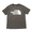 THE NORTH FACE S/S COLOR DOME TEE NEWTAUPE NT32133-NT画像
