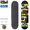 Blind Skateboards Logo Glitch FP 7.875in 10511552画像