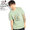 The Endless Summer TES MALIBU STAR KABUKIMONO T-SHIRT -GREEN GRAY- FH-1574353画像