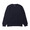 THE NORTH FACE L/S GLOBE FIT CREW AVIATOR NAVY NT12098-AN画像