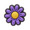 crocs Purple Daisy 10008880画像