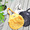 MINOS SUMA FORNIA ORGANIC COTTON MESH BAG MNX21-AC01画像