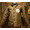 FREEWHEELERS TYPE N-1 “U.S.ARMY CWTD LADD FIELD AIR BASE” Original Jungle Cloth Paraffin Coating 2131016画像