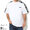 DC SHOES Line S/S Tee DST221038画像