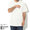 Wild Things True Dry Flex S/S Tee WT22049SU画像