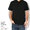 LACOSTE PH5522J S/S Polo Shirt画像