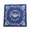 Buzz Rickson's 30th ANNIVERSARY BANDANA BR02761画像