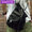 THE NORTH FACE PURPLE LABEL Stroll Tote Bag 2WAY K(BLACK) NN7363N画像