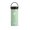 Hydro Flask HYDRATION 16 oz Wide Mouth Dew 8900150115231/5089022画像