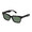 EVILACT EMBLEM matte black / green lens EAE23-14-04画像