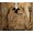 COLIMBO HUNTING GOODS SCHIPPERKE LIGHT DECK JKT. "E-2 SUB CHASER" ZZ-0109画像