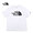 THE NORTH FACE Color Dome S/S Tee NT32450画像