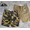 COLIMBO HUNTING GOODS C.G.Island Chino Shorts ZZ-0214画像