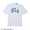 Champion T1011 US COLLEGE T-SHIRTS UCLA UNIVERSITY C5-D301画像