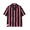 Schott STRIPE SS SHIRT 7826123011画像