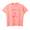 BARNS Pigment Dye "G.O.A.T." S/S Print T-shirt California Bear BR-26153画像