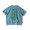 gym master 6.2oz ピグメントサボテンビッグTEE G733782画像