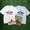 The Endless Summer TES 4COLOR BUHI SURFER T-SHIRT FH-26574345画像
